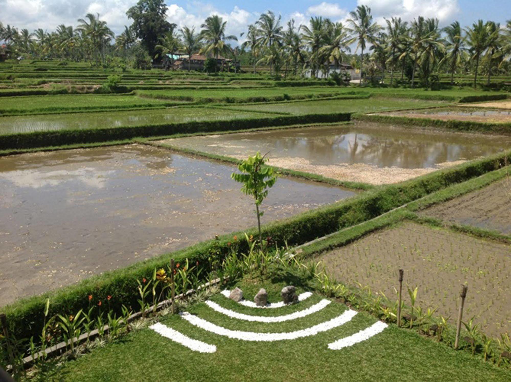 Manyi Village Ubud Exterior photo